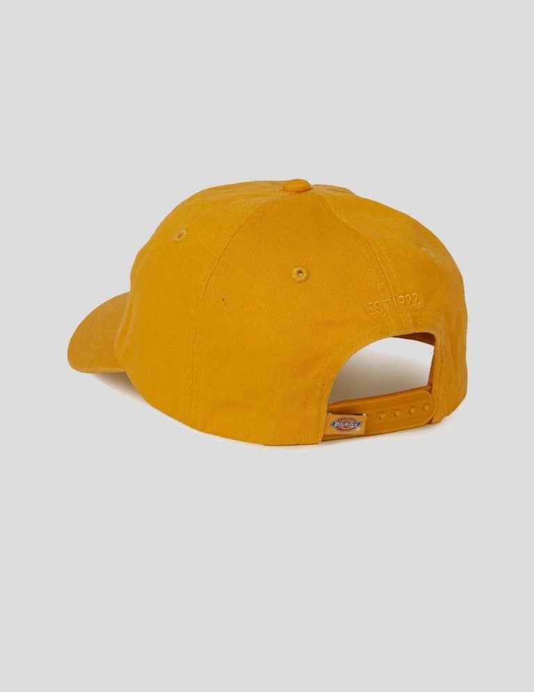 Gorra DICKIES hardwick cap honey gold